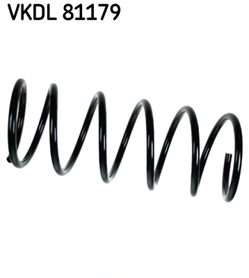 VKDL81179 SKF