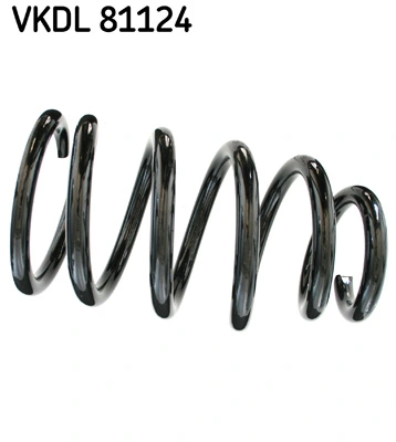 VKDL81124 SKF
