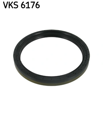VKS6176 SKF