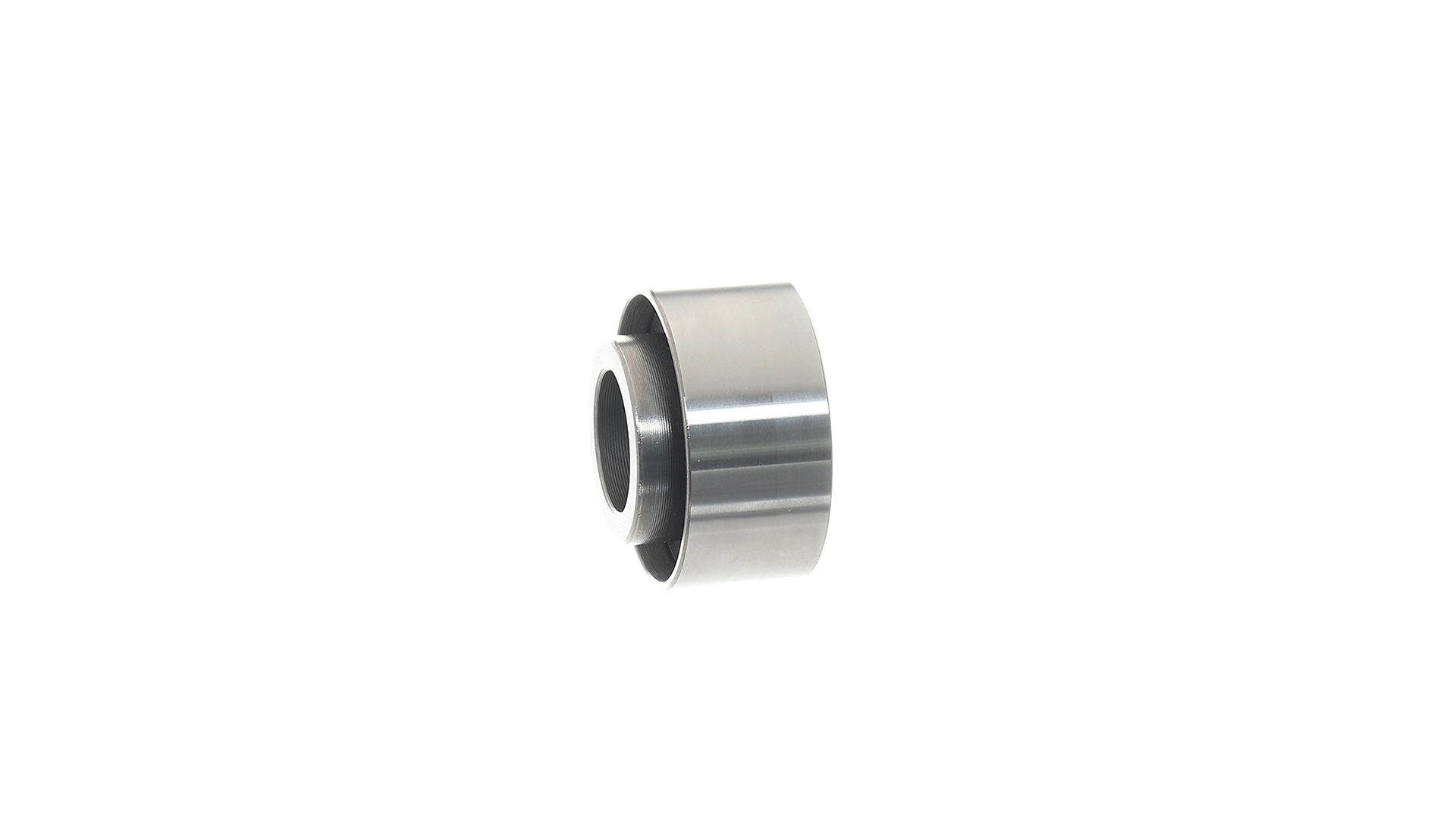 Polea correa distribución SKF VKM84201 precio, desde 21,65 EUR
