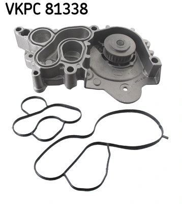 VKPC81338 SKF