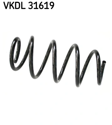 VKDL31619 SKF