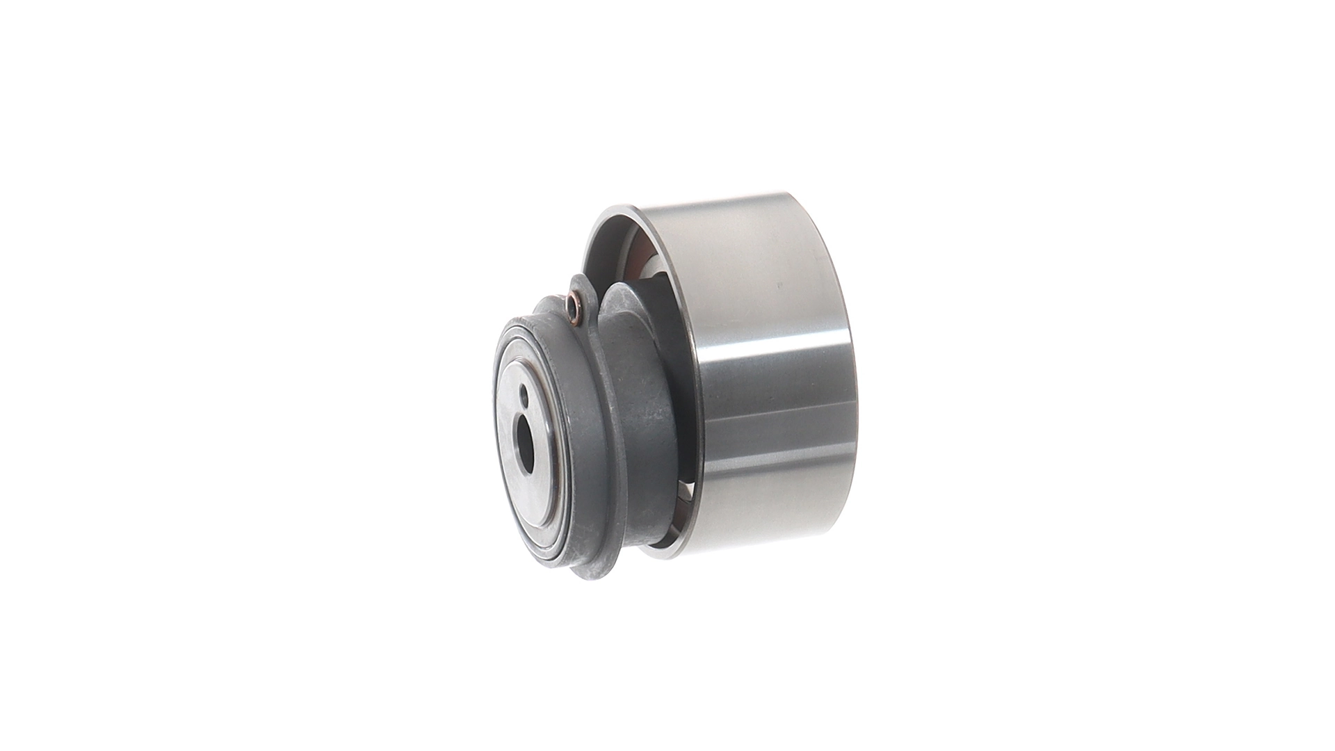 Tensor de la correa de distribución SKF VKM74002 precio, desde 45,98 EUR