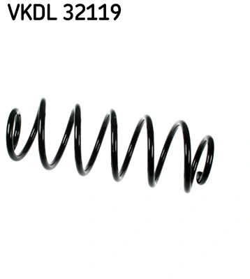 VKDL32119 SKF