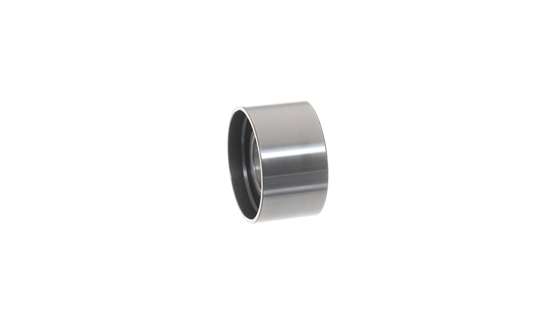 Tensor de la correa de distribución SKF VKM74607 precio, desde 18,50 EUR