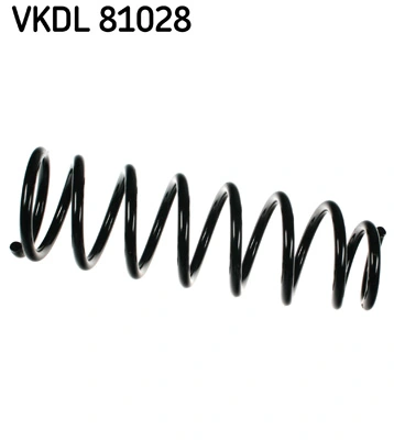 VKDL81028 SKF