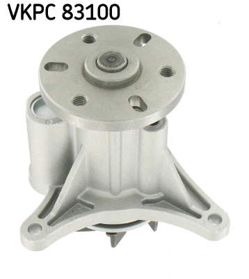 VKPC83100 SKF