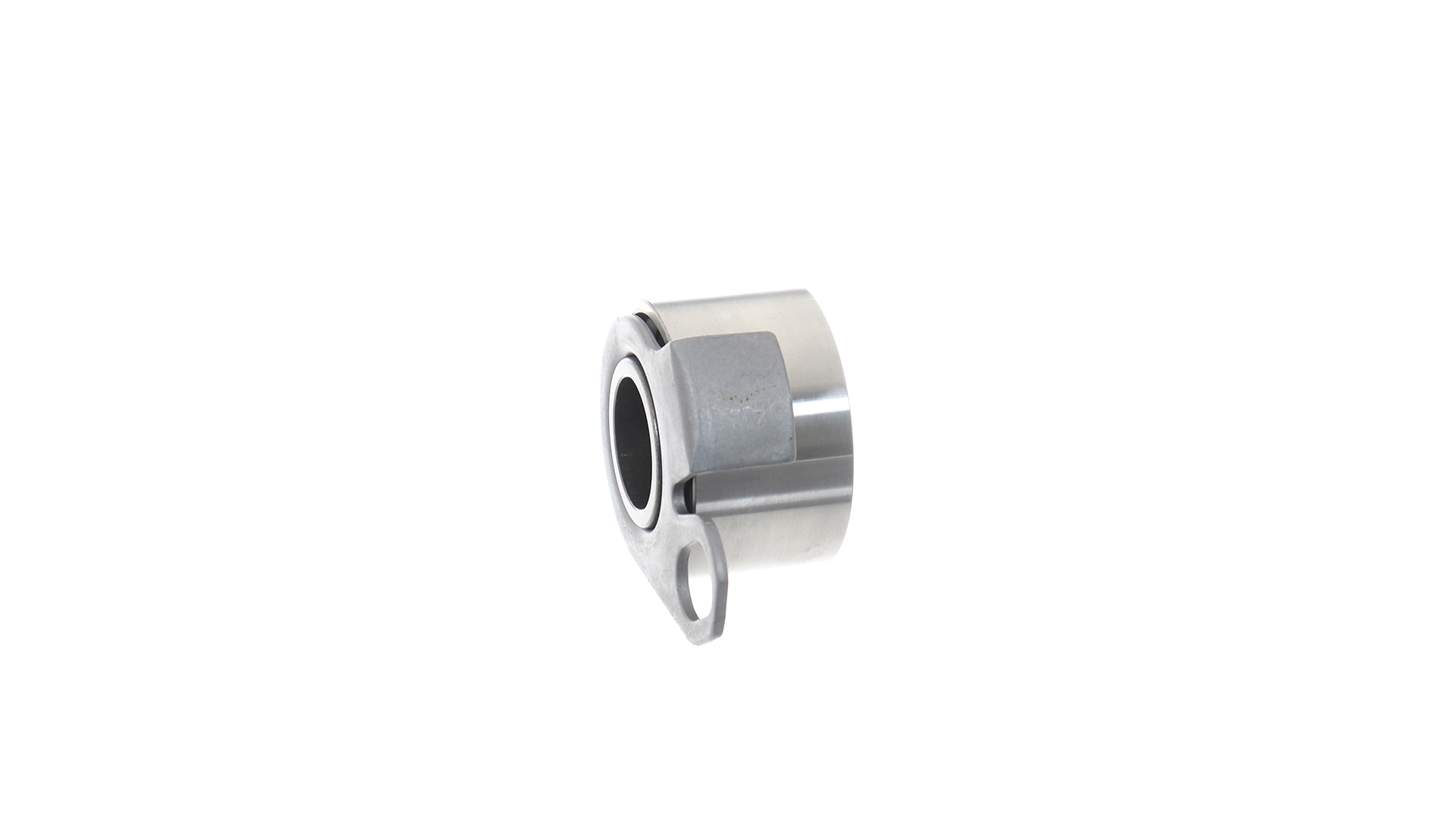 Tensor de la correa de distribución SKF VKM79002 precio, desde 27,72 EUR