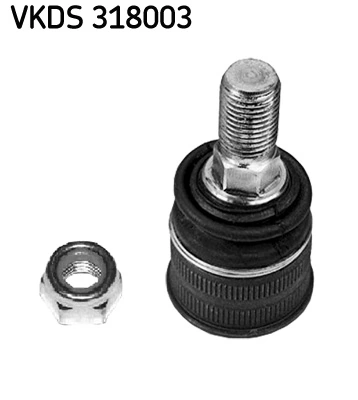 VKDS318003 SKF