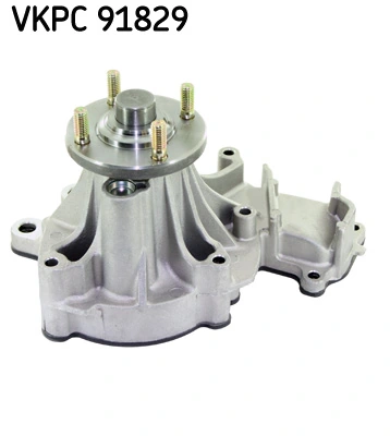 VKPC91829 SKF
