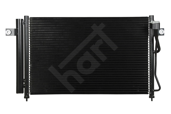611219 Hart