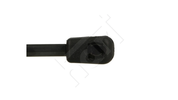 Amortiguador de porton para BMW X5  E70