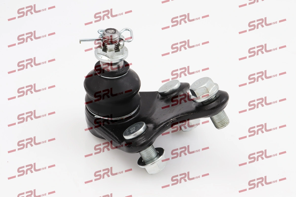 S6081532 Polcar