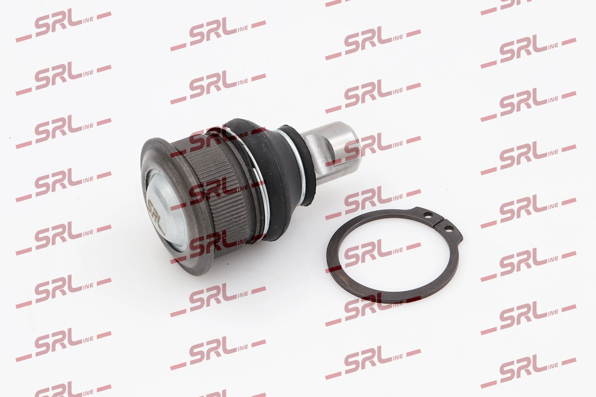 S6024501 Polcar
