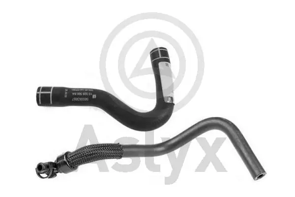 AS509819 Aslyx