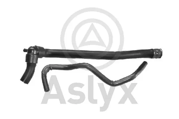 AS203840 Aslyx