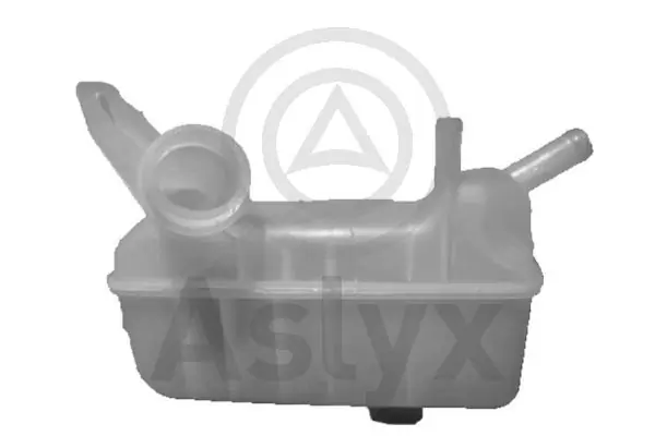 Botella expansion Renault Scenic II desde 24,34 €