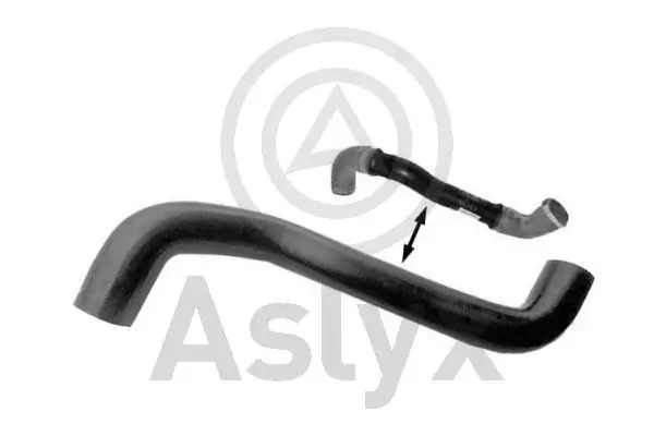 AS509728 Aslyx