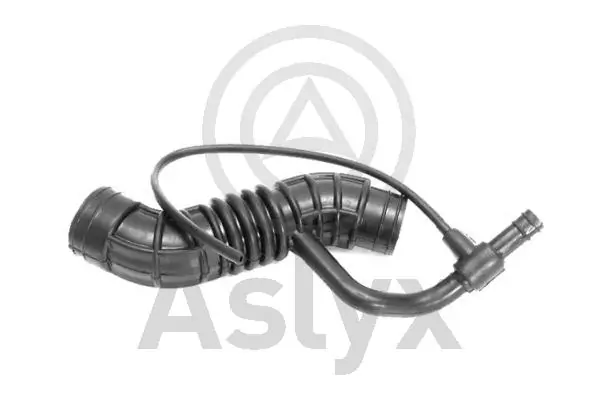 AS203019 Aslyx