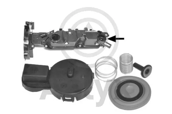 AS535526 Aslyx