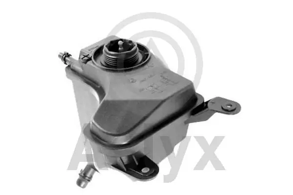 Botella expansion BMW 3  desde 69,70 €