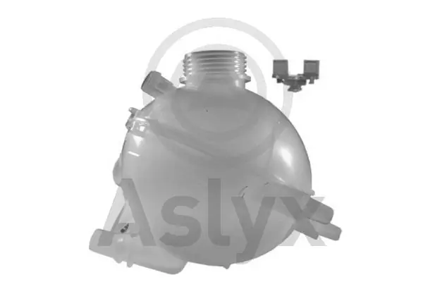 Vaso de expansión refrigerante Citroen Berlingo (B9)