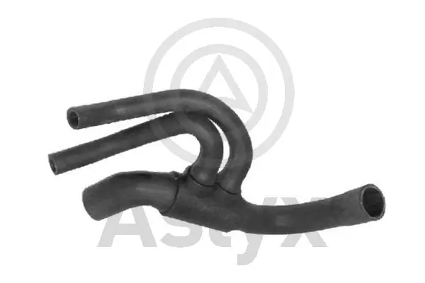 AS203821 Aslyx