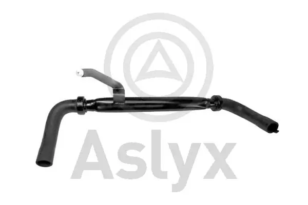 AS203842 Aslyx