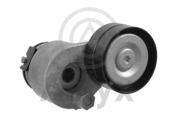 Tensor de la correa trapecial Nissan JUKE  desde 39,72 €