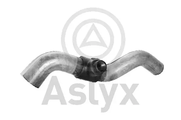 AS203648 Aslyx