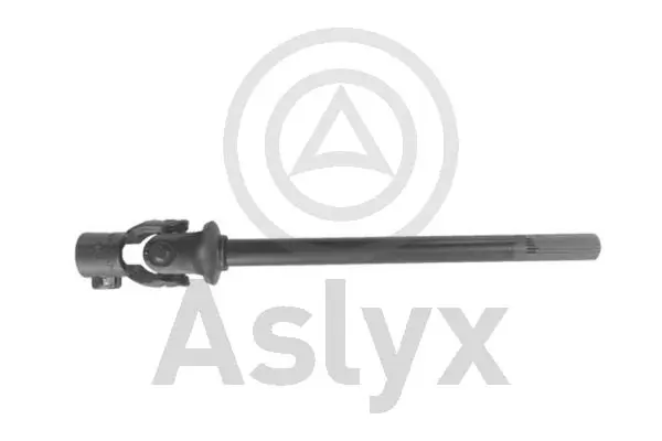 AS203363 Aslyx