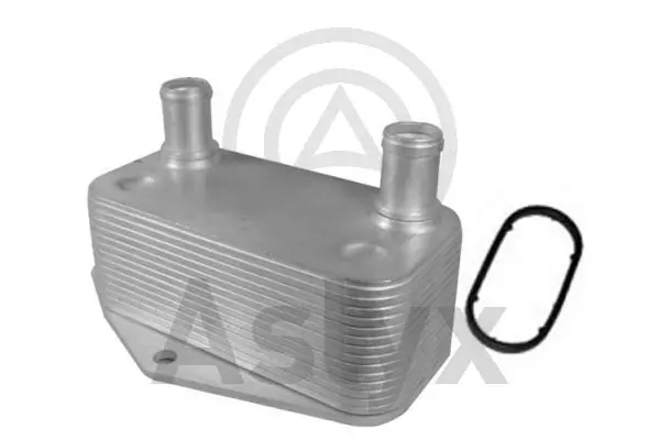AS203193 Aslyx