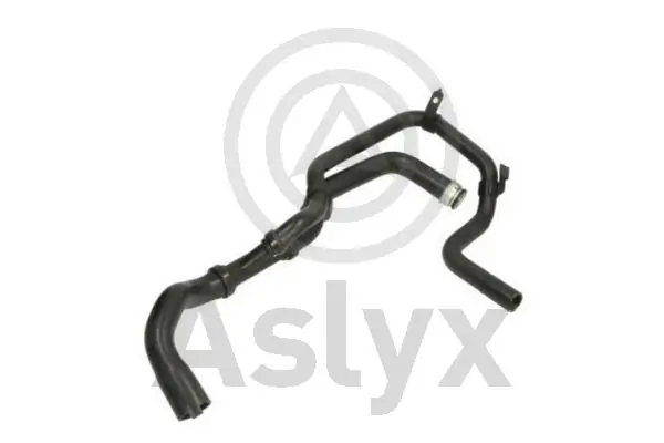 AS203795 Aslyx