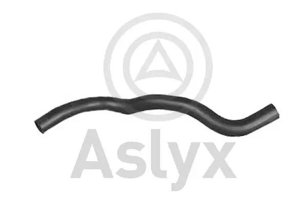 AS203751 Aslyx