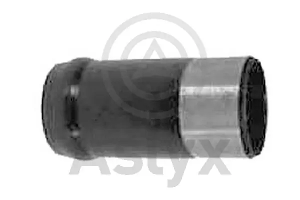 Manguito de radiador para Renault 21 (B48)