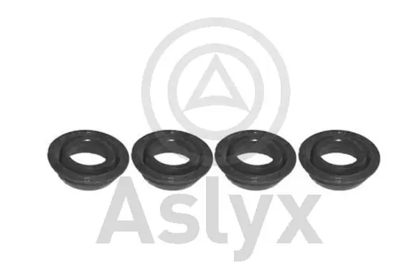AS506455 Aslyx