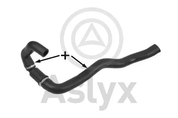 AS509681 Aslyx
