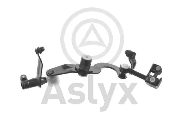 AS203173 Aslyx
