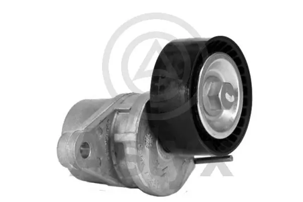 Tensor de correa poli V para Citroen C3 2R, 2C