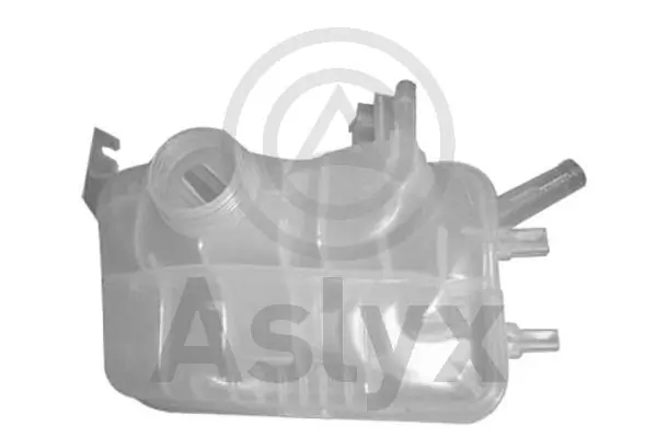 Botella expansion Renault Megane III desde 33,76 €