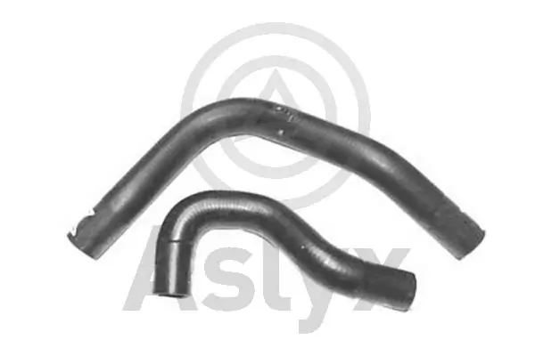 AS509977 Aslyx