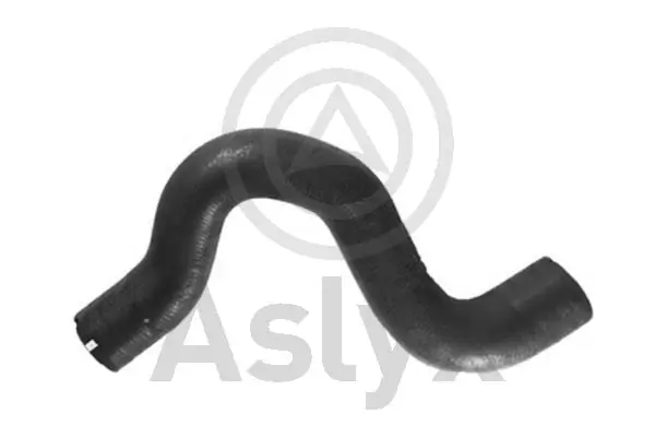 AS509582 Aslyx