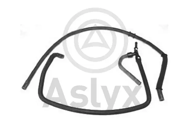 AS203884 Aslyx