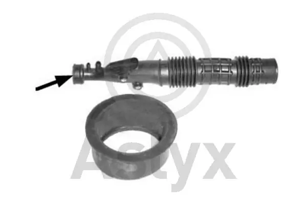 AS203264 Aslyx