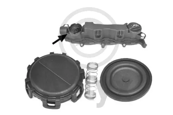 Tapa de culata Ford Fiesta VI (2008-2016)