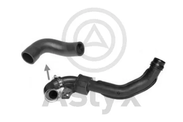 AS509661 Aslyx