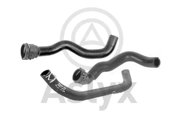 AS509979 Aslyx