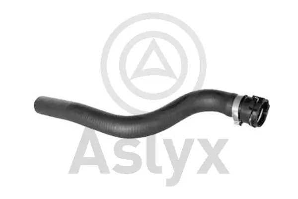 AS204256 Aslyx