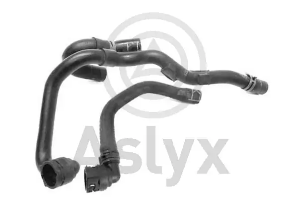 AS509989 Aslyx
