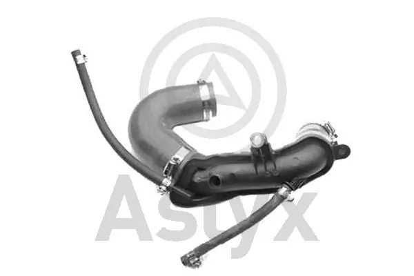 AS203484 Aslyx